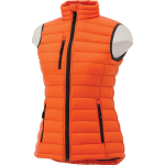 Women's Whistler Light Down Vest